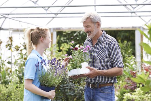 Male Customer Asking Staff For Plant Advice At Garden Center