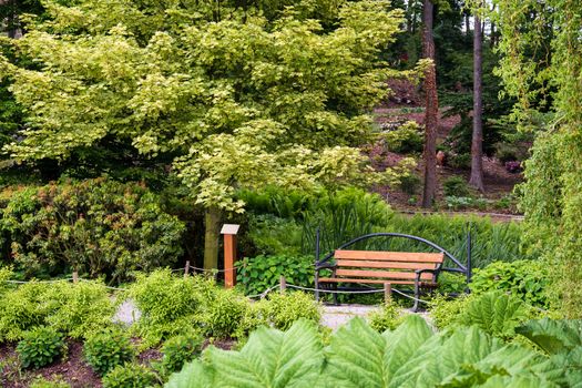 bench empty seat in nature. Chair in park or garden near bushes and green trees. Relaxation, tranquil and idyllic scene in foliage meadow.  park bench photography. Concept of solitude and waiting time