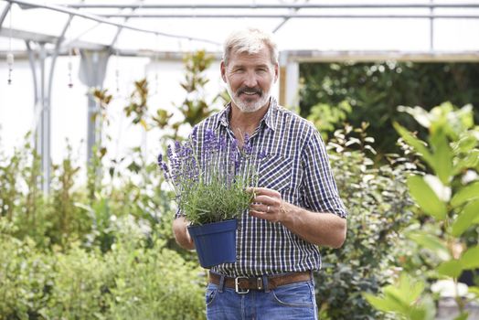 Portrait Of Mature Man Choosing Plants At Garden Center