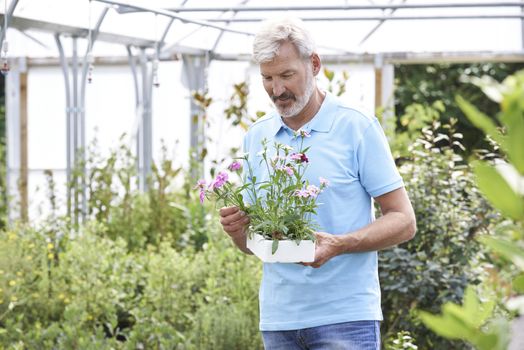 Male Employee At Garden Center Holding Plant