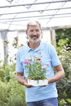 Portrait Of Male Sales Assistant At Garden Center Holding Plants