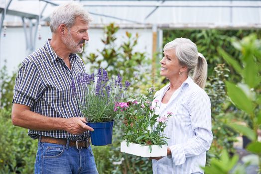 Mature Couple Choosing Plants At Garden Center