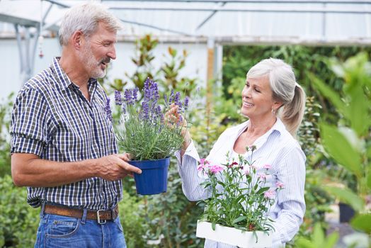 Mature Couple Choosing Plants At Garden Center