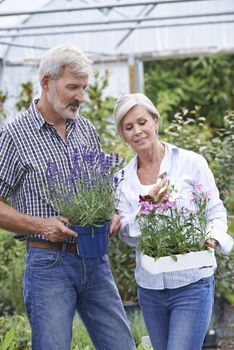 Mature Couple Choosing Plants At Garden Center