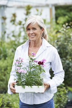 Mature Woman Choosing Plants At Garden Center