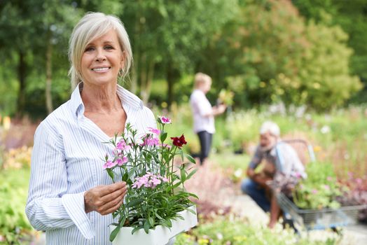 Mature Woman Choosing Plants At Garden Center