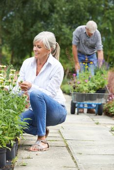 Mature Couple Shopping At Garden Centre