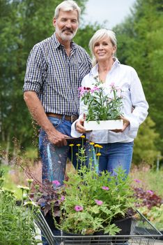 Portrait Of Mature Couple Shopping At Garden Center