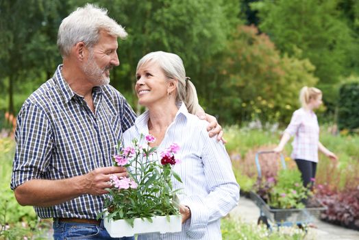 Mature Couple Choosing Plants At Garden Center