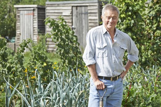 Portrait Of Man Gardening On Allotment