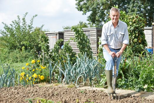 Senior Man Digging Vegetable Patch On Allotment