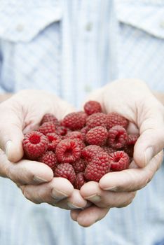 Close Up Of Man Holding Freshly Picked Raspberries