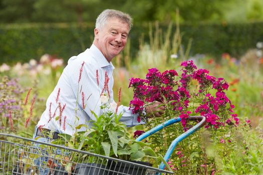 Man Choosing Plants At Garden Centre