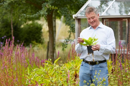 Senior Man Relaxing In Garden At Home