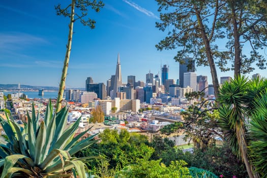 Beautiful view of business center in downtown San Francisco in USA 