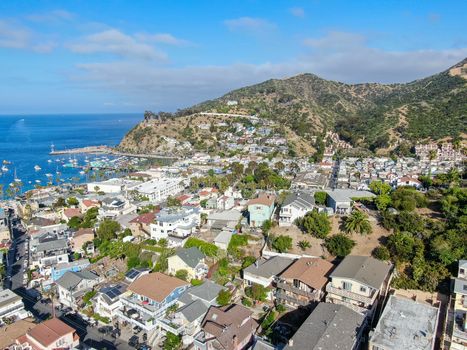 Aerial view of Avalon downtown and bay with boats in Santa Catalina Island, famous tourist attraction in Southern California, USA