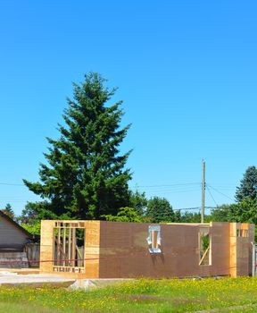 Detached family home under construction with fir tree on back side