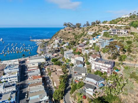 Aerial view of Avalon downtown with their houses on the cliff in Santa Catalina Island, famous tourist attraction in Southern California, USA