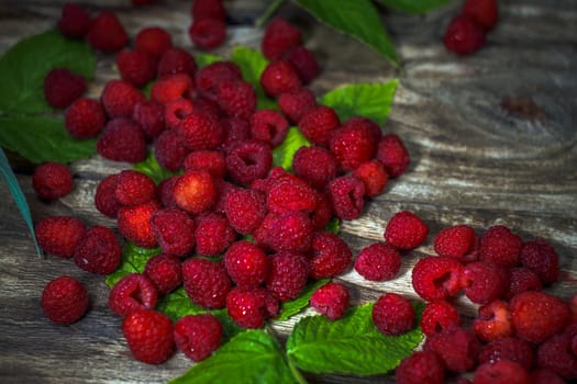 Raspberries close up view. Macro photo food raspberry. Texture background ripe pink raspberry.