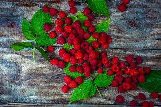 Fresh organic fruit - raspberry on wood background selective focus. Natural ripe organic berries with peduncles, green leaves, top view, flat lay with copy space.