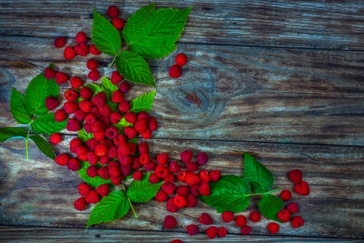 Ripe raspberries. Berries. A handful of raspberries. Natural ripe organic berries with peduncles, green leaves, top view, flat lay with copy space.
