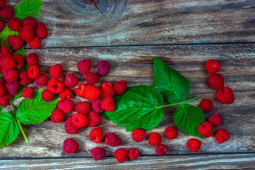 Red fresh raspberries on a rustic wood background. Natural ripe organic berries with peduncles, green leaves, top view, flat lay with copy space.