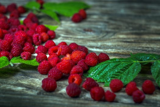 Macro photo food raspberry berry. Texture background ripe pink raspberry berry. Fresh raspberries on a rustic wooden table. Selective focus.
