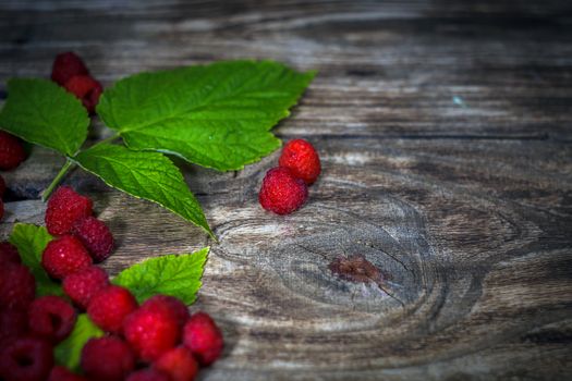 Fresh raspberries background close-up photo. Fresh raspberries on a rustic wooden table. Selective focus.