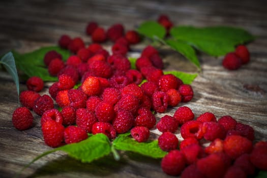 Raspberries close up view. Macro photo food raspberry. Natural ripe organic berries with peduncles, green leaves, top view, flat lay with copy space.