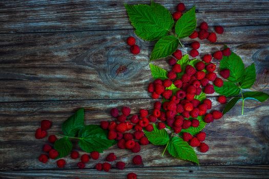 Fresh ripe raspberries close-up on old wooden table. Summer berries background. Top view.