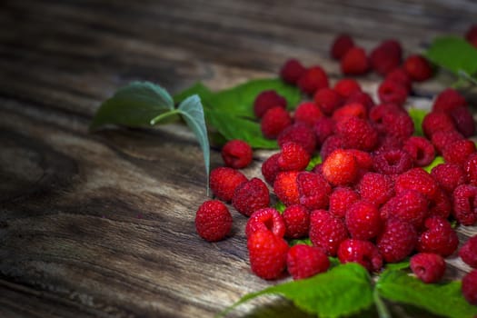 Fresh raspberries background close-up photo. Fresh raspberries on a rustic wooden table. Selective focus. Top view, flat lay with copy space.