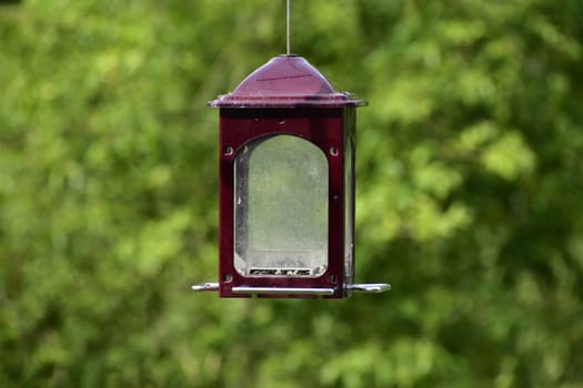 Horizontal shot of an almost empty hanging bird feeder with copy space.

