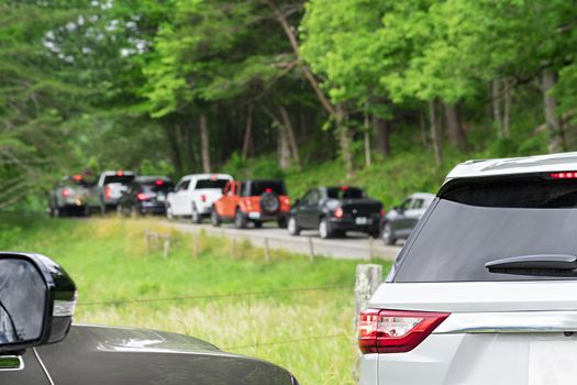 Horizontal shot of a Cades Cove traffic jam.