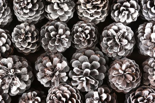 Closeup top view of a group of pine cones with a dusting of snow.