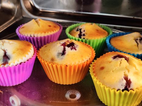 Freshly baked at home muffins in colorful cups placed in a shiny microwave. Shows the renewed interest in cooking due to the coronavirus pandemic lockdown