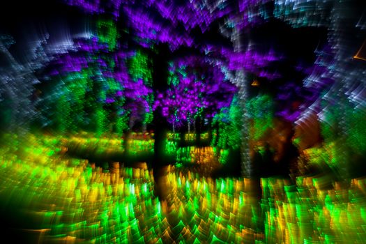 Abstract twinkled bright background with defocused lights. Majestic tree of lights. Fantastic forest. Unique bokeh effect.