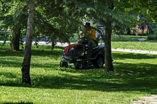 An experienced worker mows grass with a lawn tractor in the garden, Sofia, Bulgaria