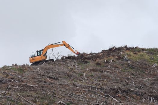 Bright orange digger against plain grey sky, as it works on a ridge deforesting. Only felled trees and stumps remain. British location and forest.