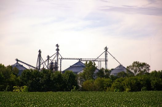 These are grain storage facilities awaiting the local crops on a summer day.