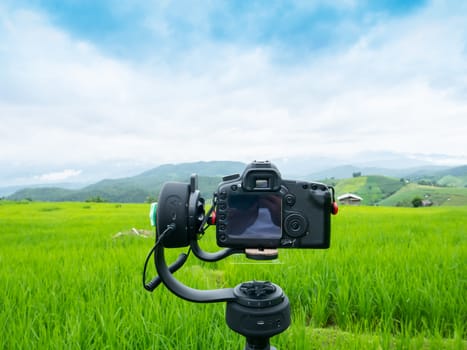 Rice of green field farm under cloudy sky with background of mountain location at Nan province north of Thailand