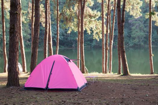 Camping tent on green grass field on mountain under clear sky located at north of Thailand