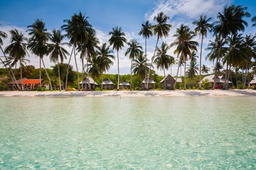 Beach at ocean in Tropicana under clear sky and palm tree located east of Thailand