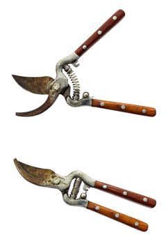 Rusty garden secateurs isolated on white background and clipping path