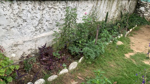 green side of the garden near the grey wall