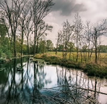 Wet forest with a small temporary pond in bad weather, Germany