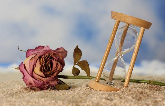 Dried Rose on Beach With Broken Hourglass