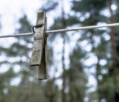 Old dirty and ugly formerly white weathered clothespin on a clothesline in the forest, Germany