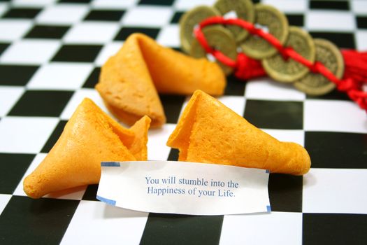 Fortune Cookie With Message- You Will Stumble into the Happiness of your Life