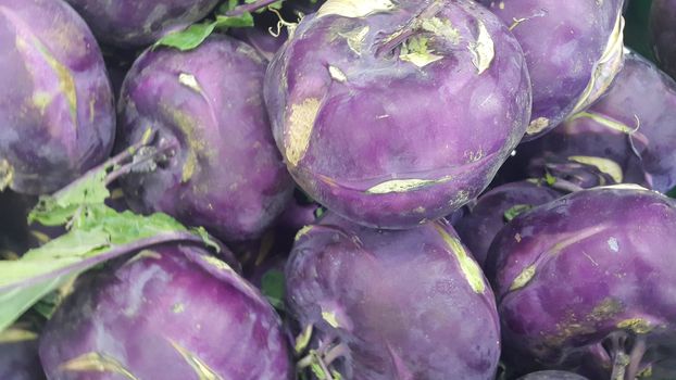 Fruits background: Purple fresh kohlrabi turnip in supermarket for sale