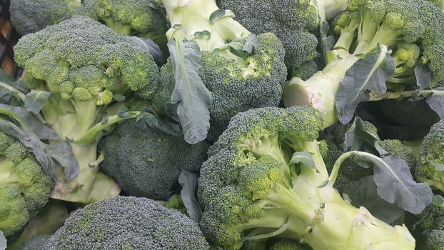 Vegetable background: Broccoli cabbage  green pile in supermarket. It is full of vitamins, minerals, fiber and antioxidants.